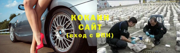 ПСИЛОЦИБИНОВЫЕ ГРИБЫ Валдай