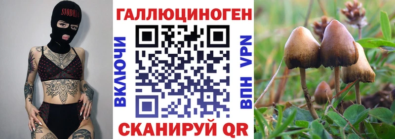 Псилоцибиновые грибы Psilocybe  Кириллов 